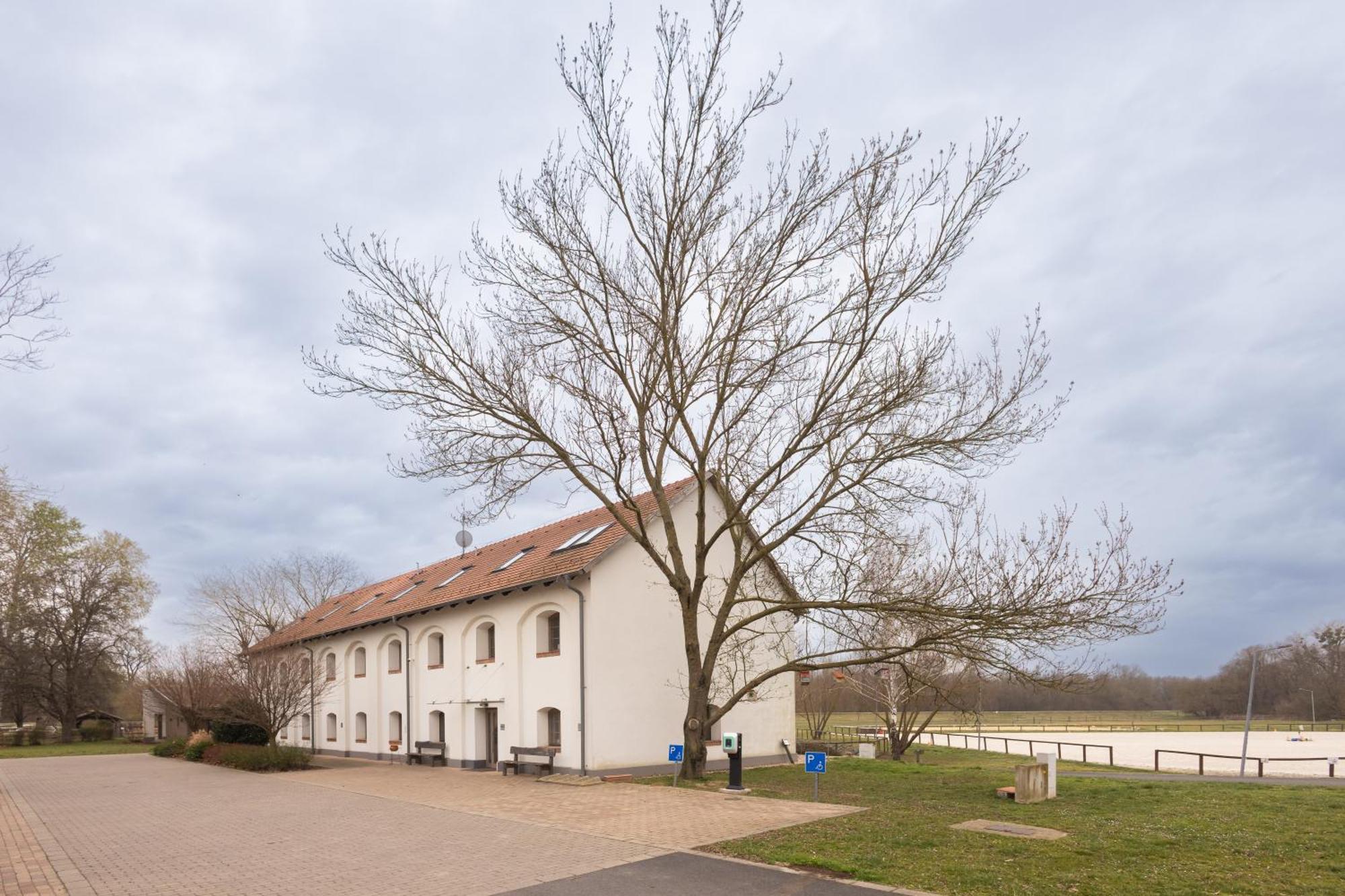 Hotel Vadkert Major Sárvár Esterno foto